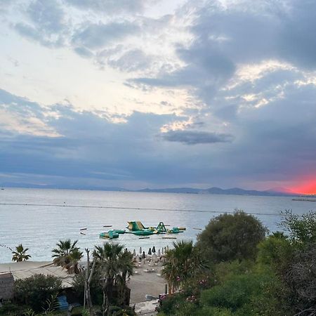 Unique, Stylish Studio Near Beaches Αθήνα Εξωτερικό φωτογραφία