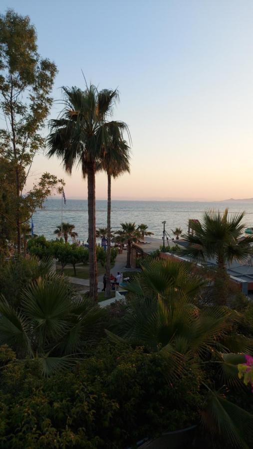 Unique, Stylish Studio Near Beaches Αθήνα Εξωτερικό φωτογραφία